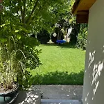 Kisvirag Vendeghaz *