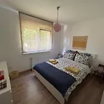 Kisvirag Vendeghaz * Balatonvilágos