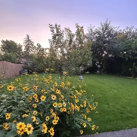 Kisvirag Vendeghaz Feriehus *