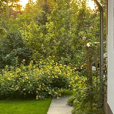 Feriehus Kisvirag Vendeghaz *