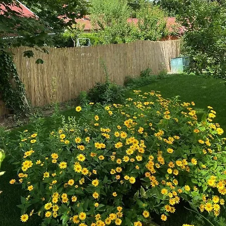 Kisvirag Vendeghaz Feriehus Balatonvilágos