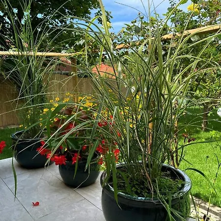 Kisvirág Сasa de vacaciones *