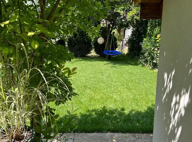 Kisvirag Vendeghaz *