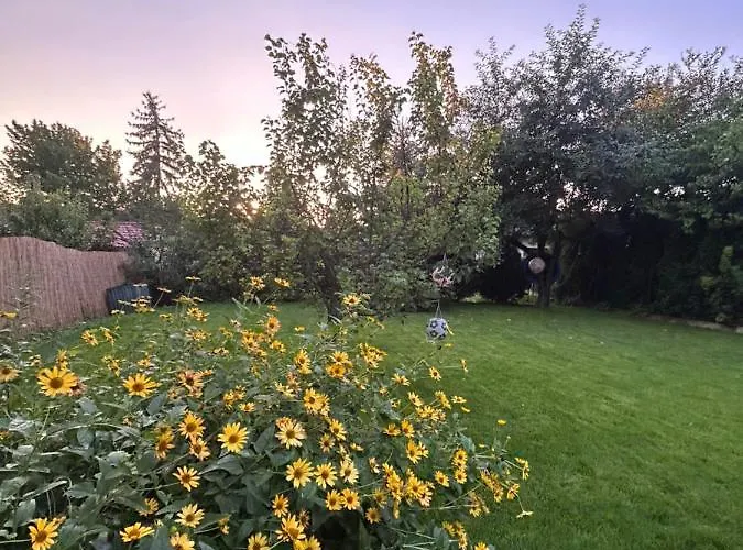 Kisvirág Casa vacanze *