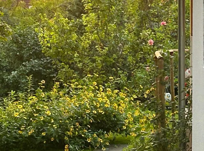 Дом отдыха Kisvirag Vendeghaz *