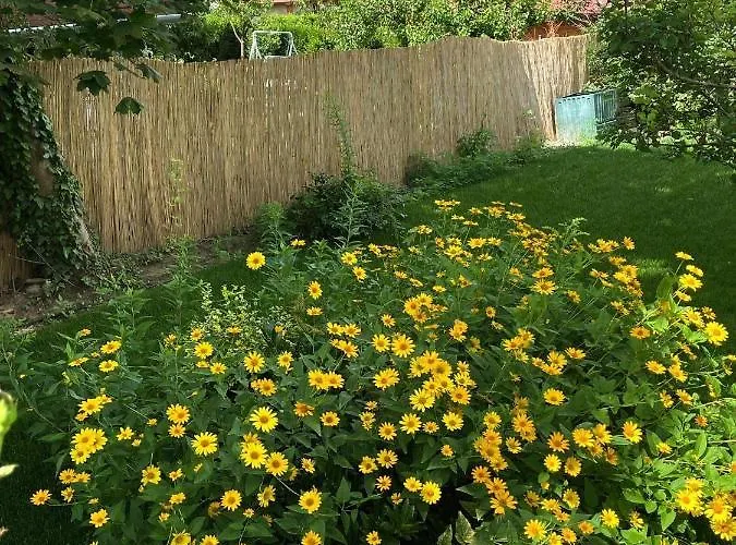 Kisvirág Casa vacanze Balatonvilágos