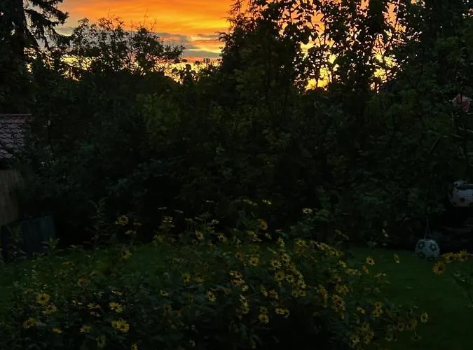 Casa vacanze Kisvirág Balatonvilágos